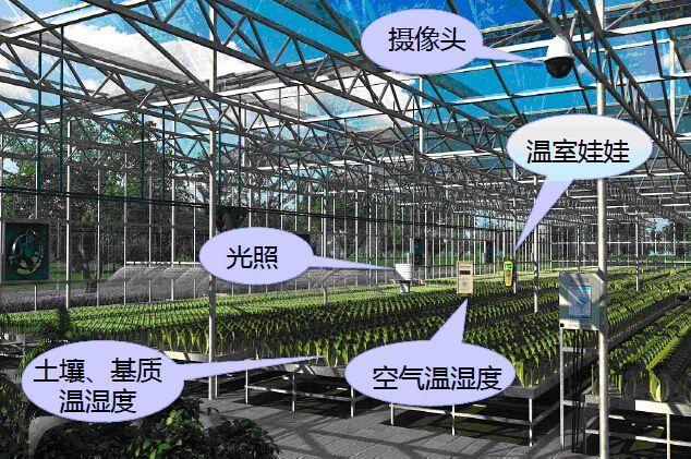 種業(yè)供應(yīng)鏈管理軟件